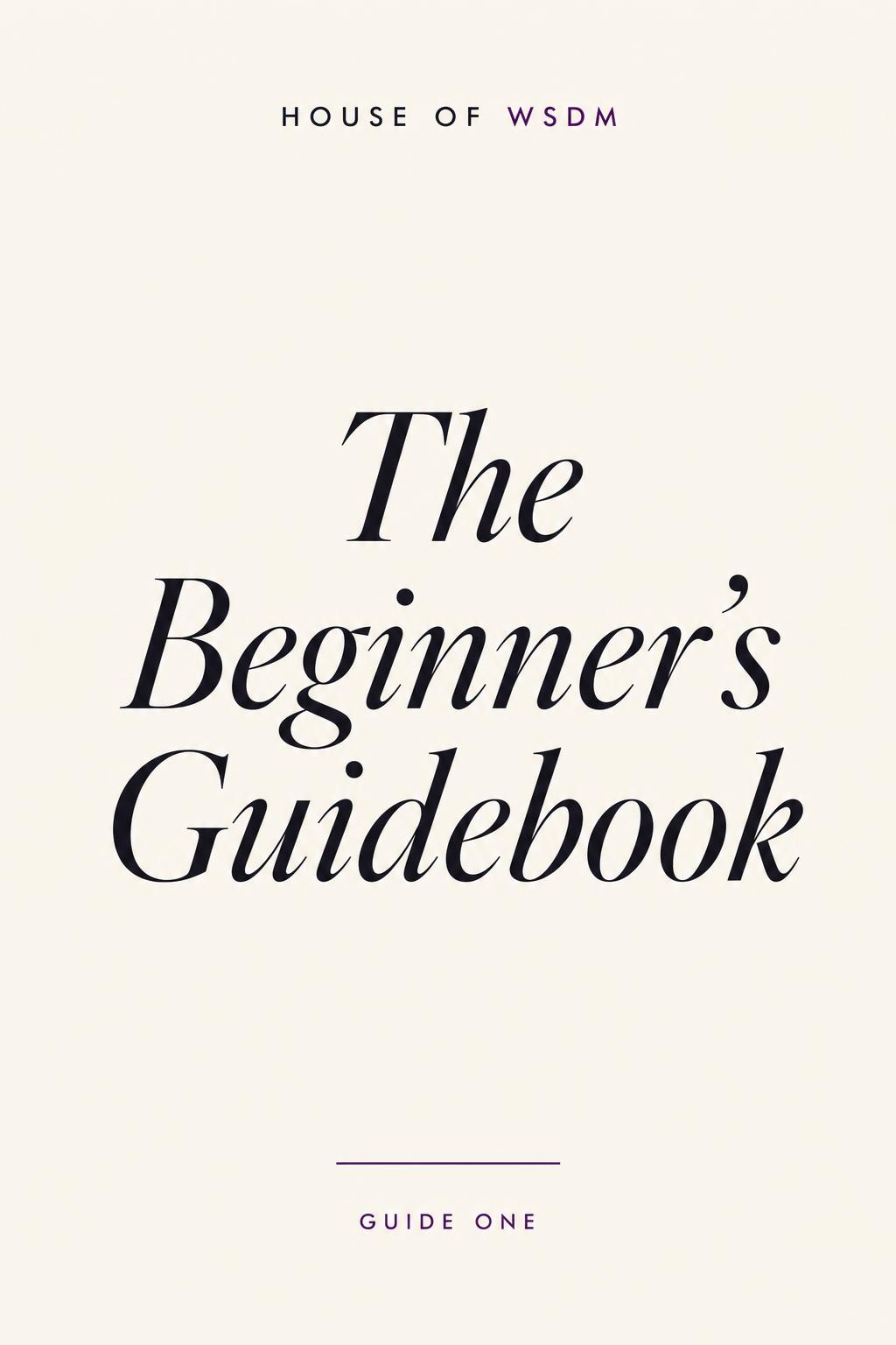 The Beginner's Guidebook